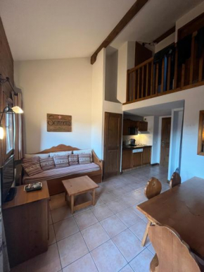 Samoëns 2